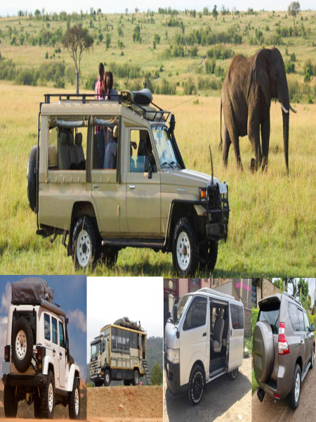 Rent a driver in Tanzania - Cruiser with Pop-up Roof photo2