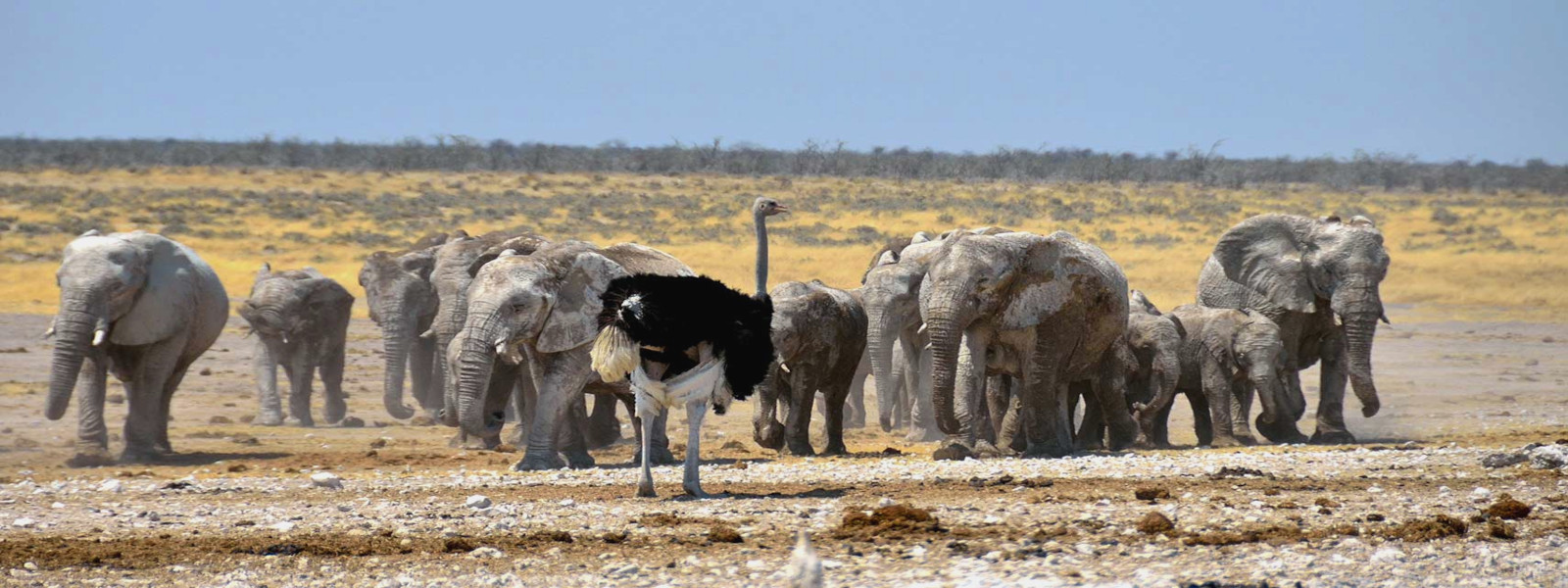 Namibia