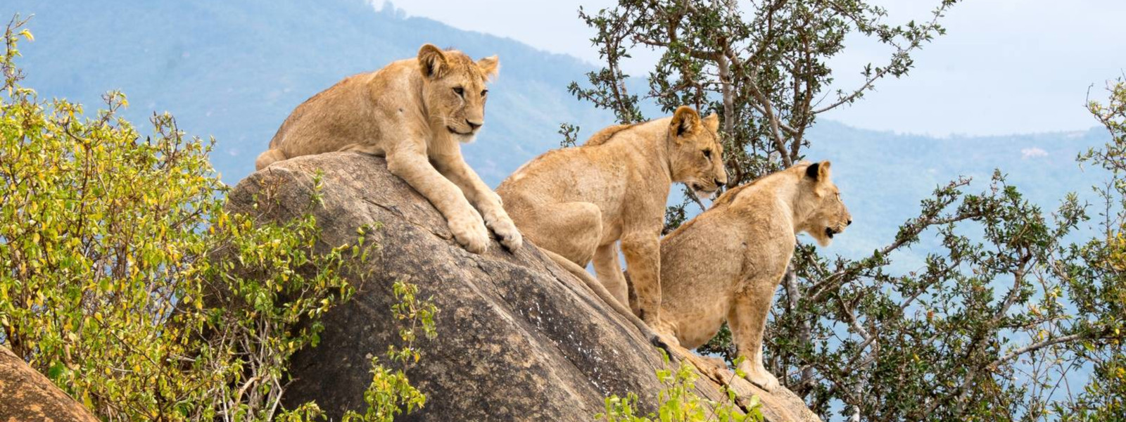 Kenya's largest national park