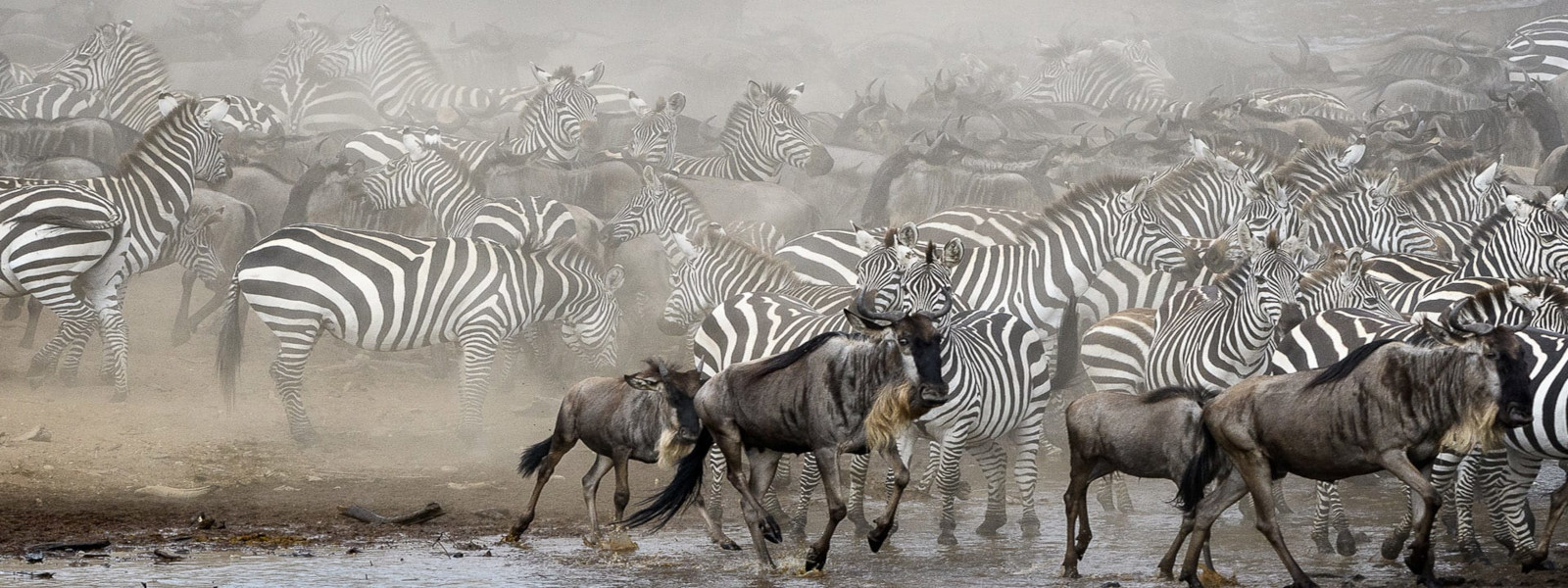 Maasai Mara National Reserve