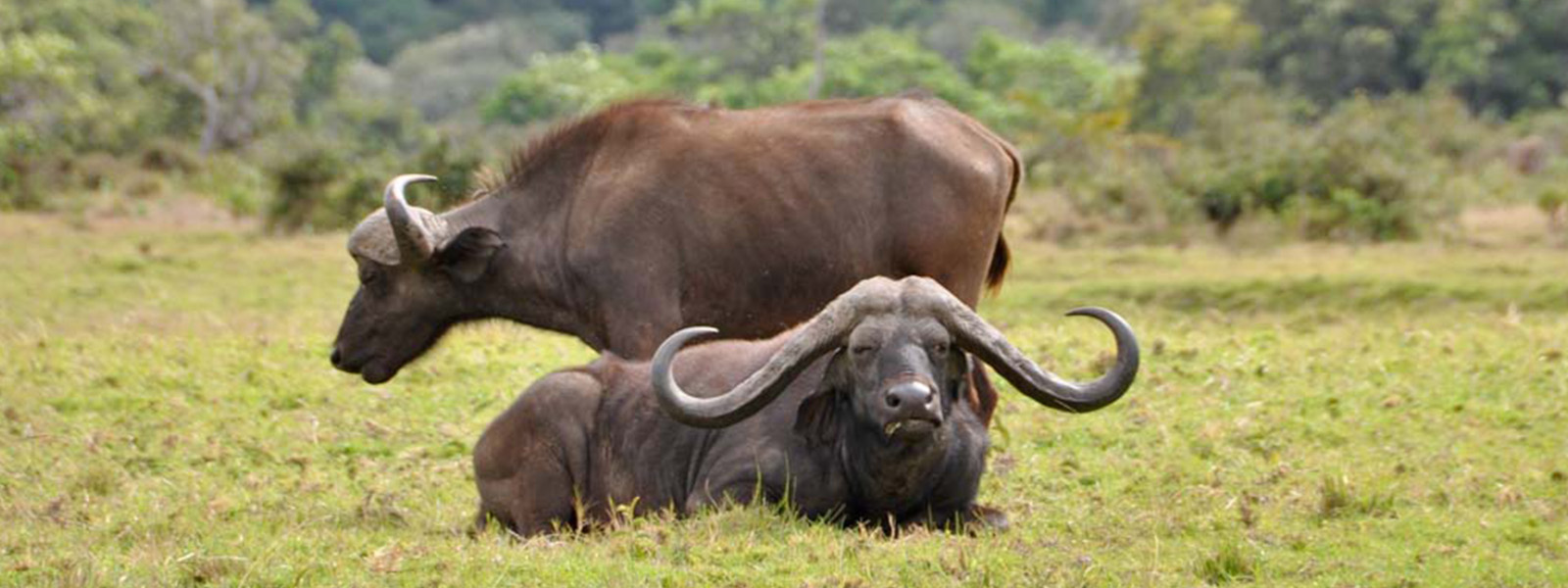 Arusha National Park