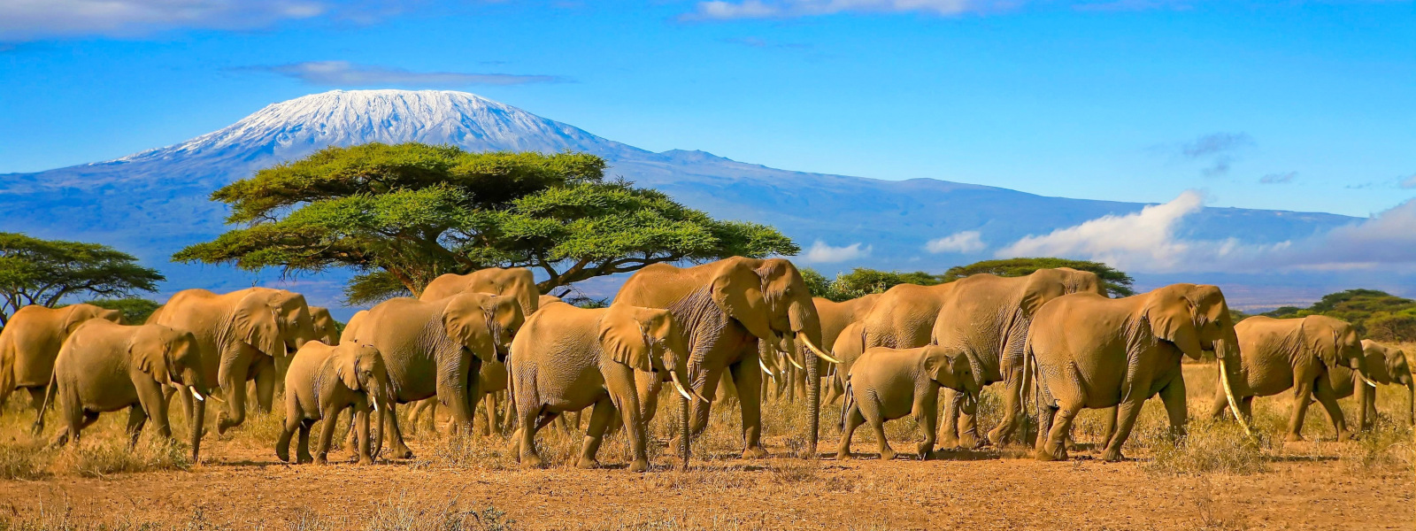 Amboseli National Park