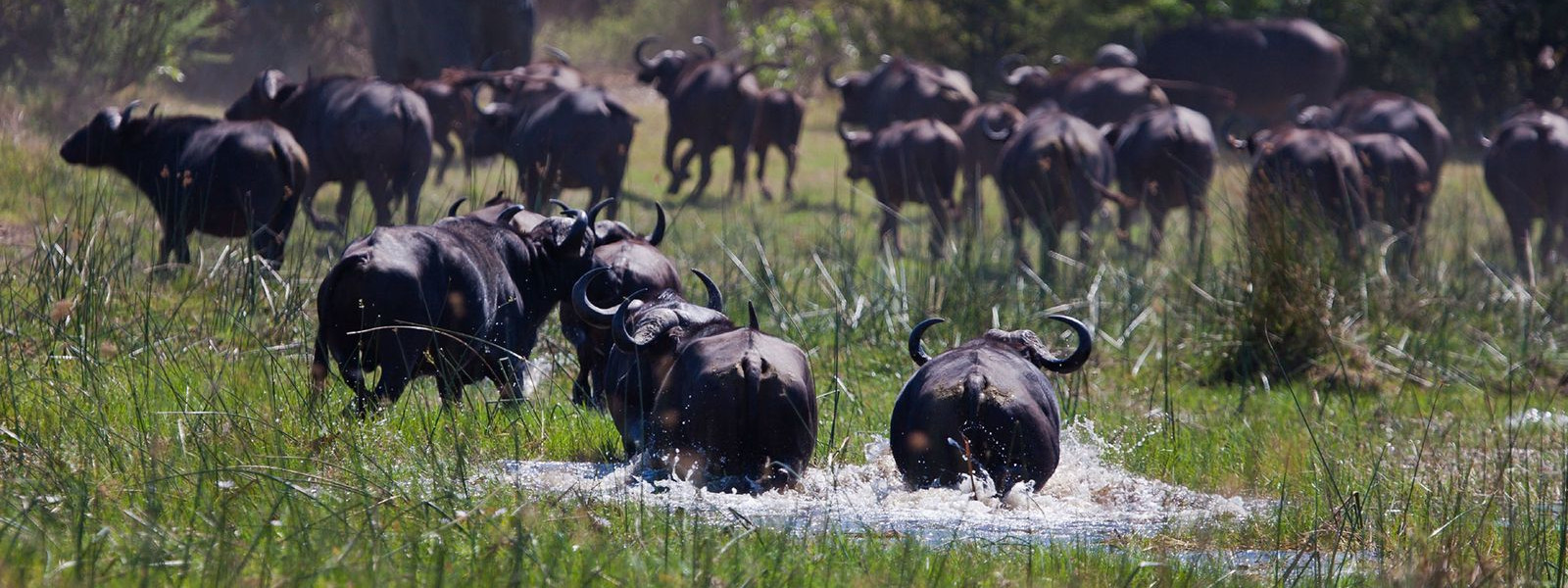 Makgadikgadi National Park