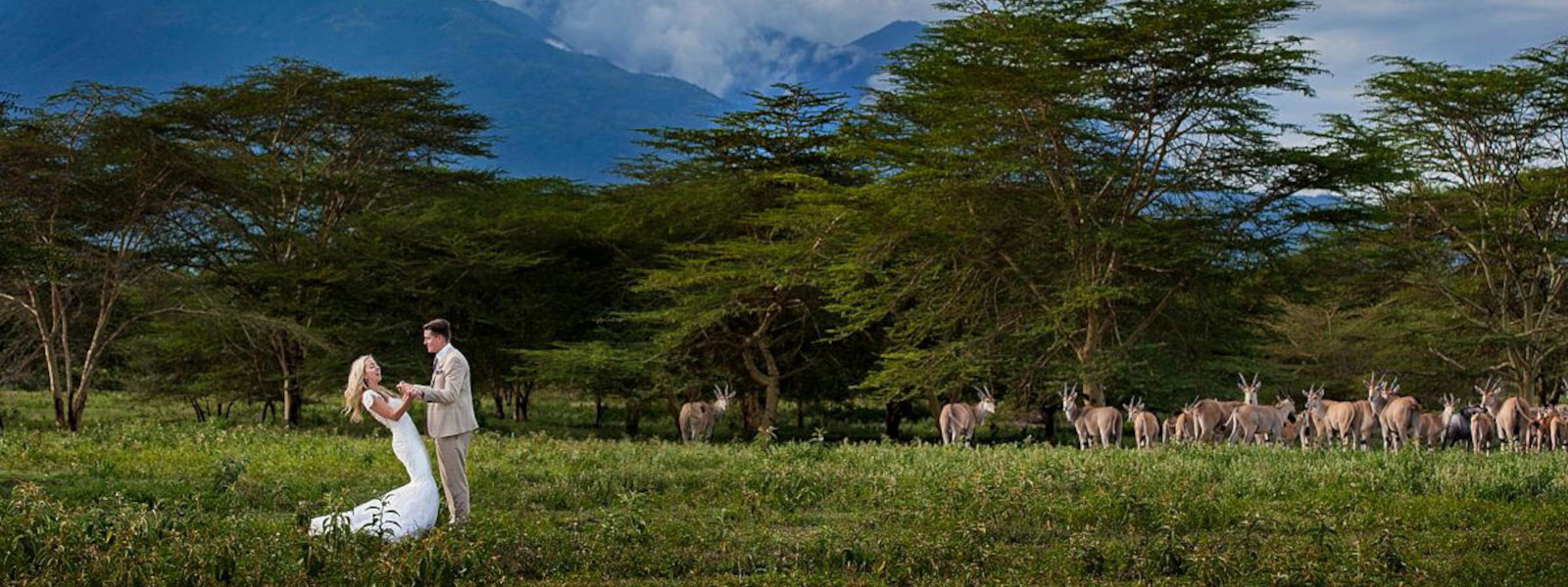 Bush Wedding in Africa