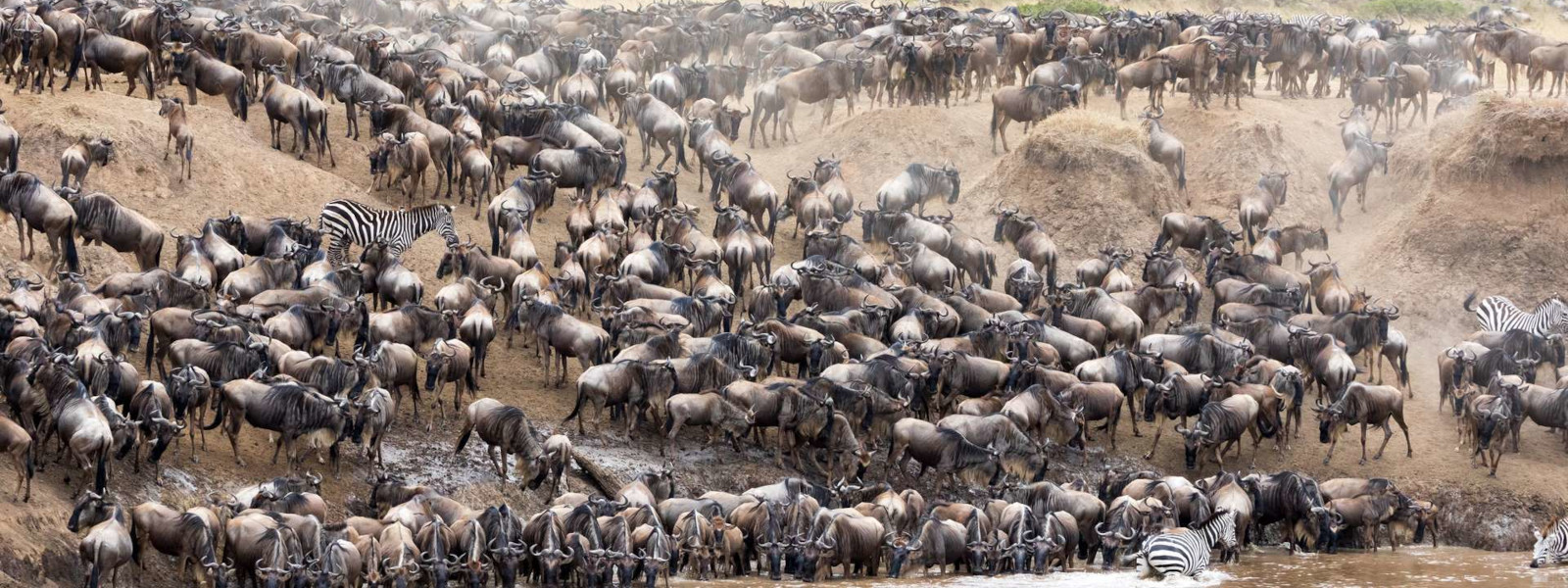 When to go in Maasai Mara National Reserve