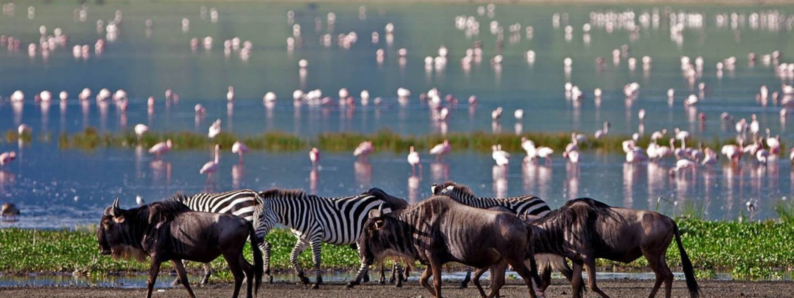 Best Time To Visit Tanzania