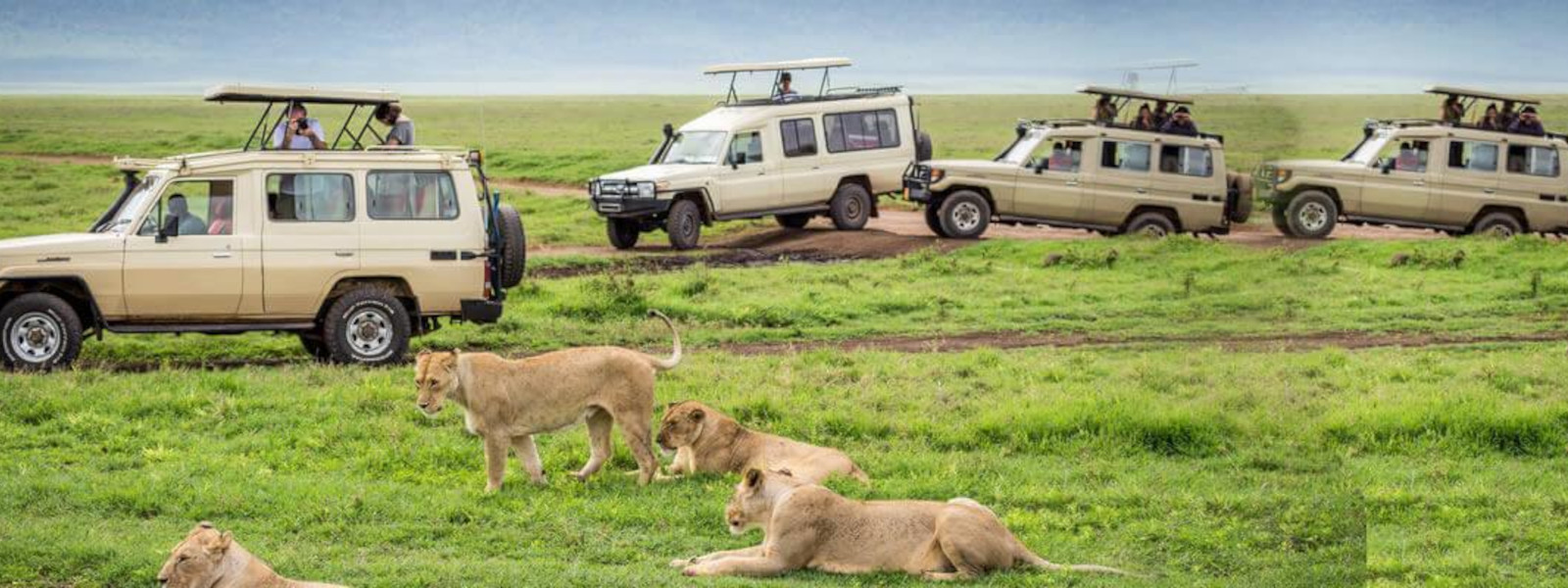 How to travel between Masai Mara and the Serengeti