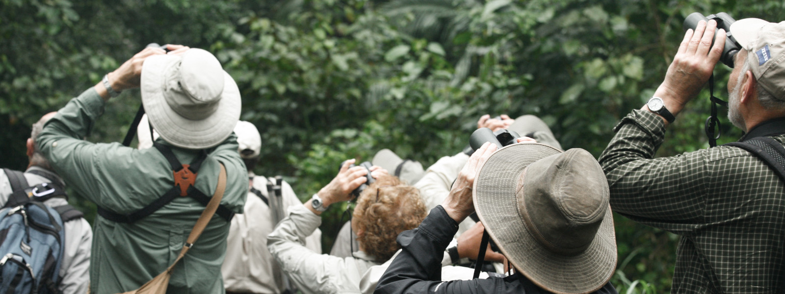 Maasai Mara Bird Checklist