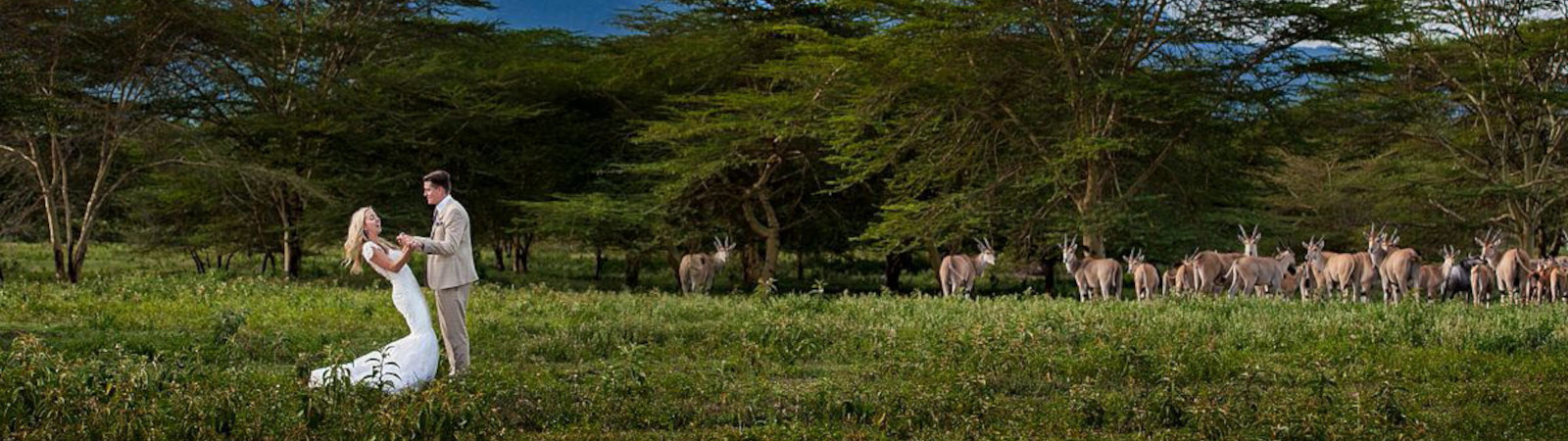 African Safari Photo Gallery