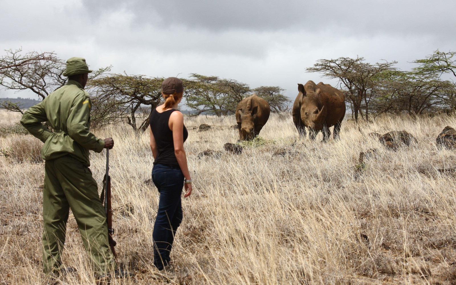 Walking Safaris