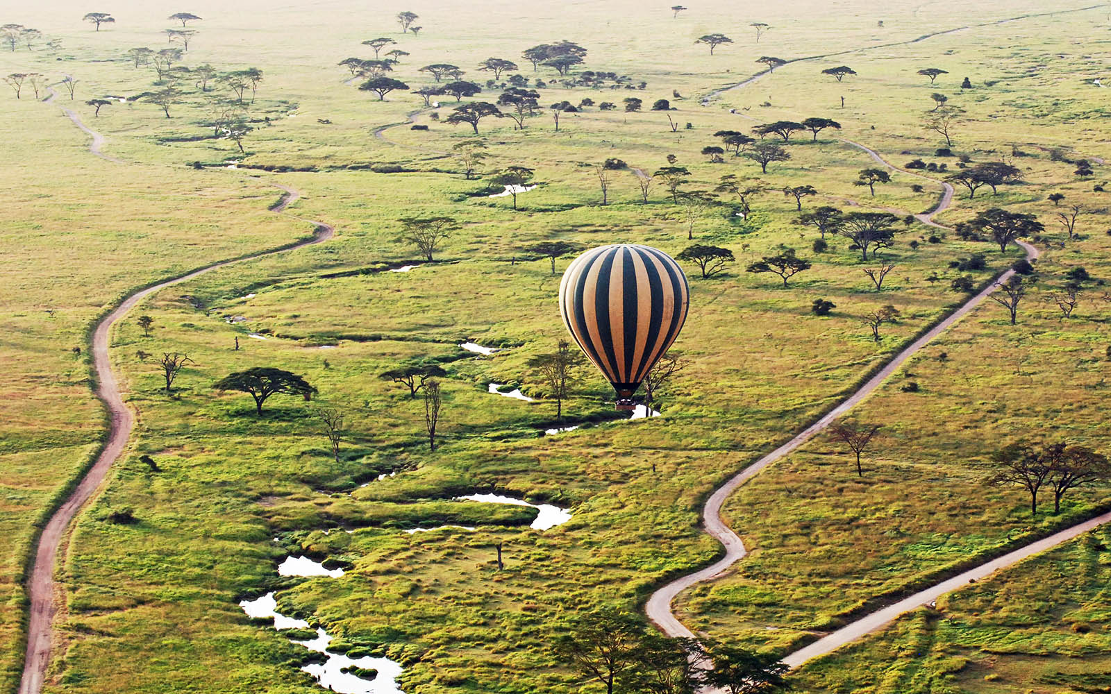 Hot-Air Balloon Rides