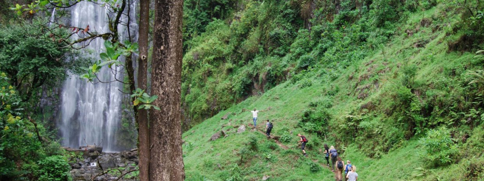 Materuni Waterfalls & Coffee Lessons