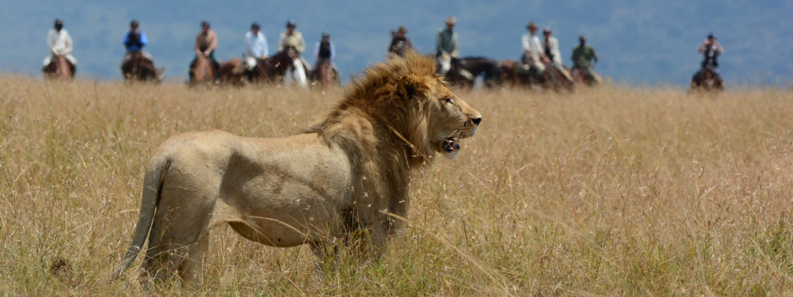 Masai Mara Horse Riding Safari