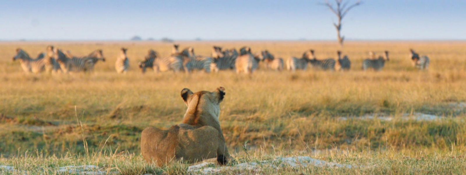 Explore Zimbabwe, Zambia and Botswana