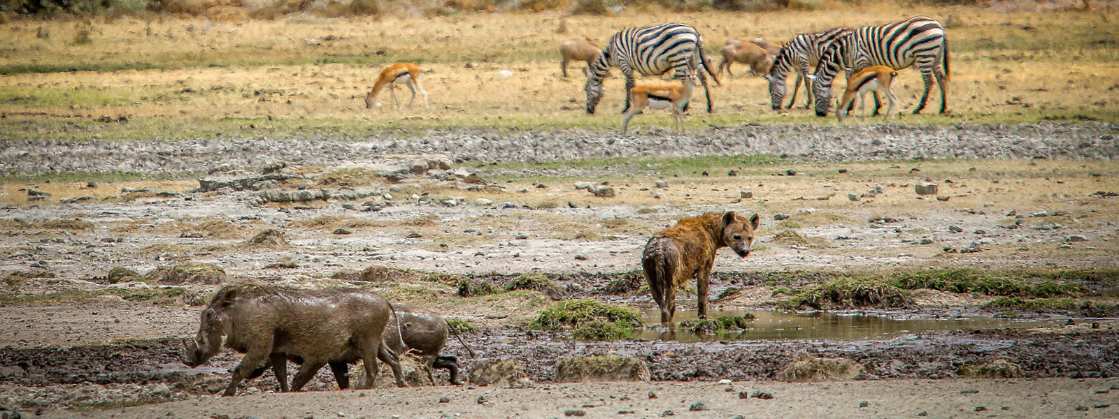 Finding The Big Five