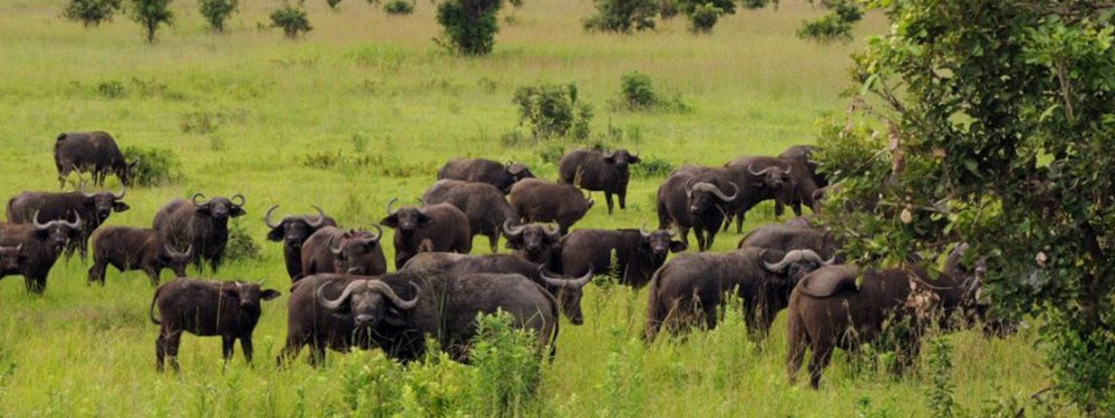 Day Tour in Arusha National Park