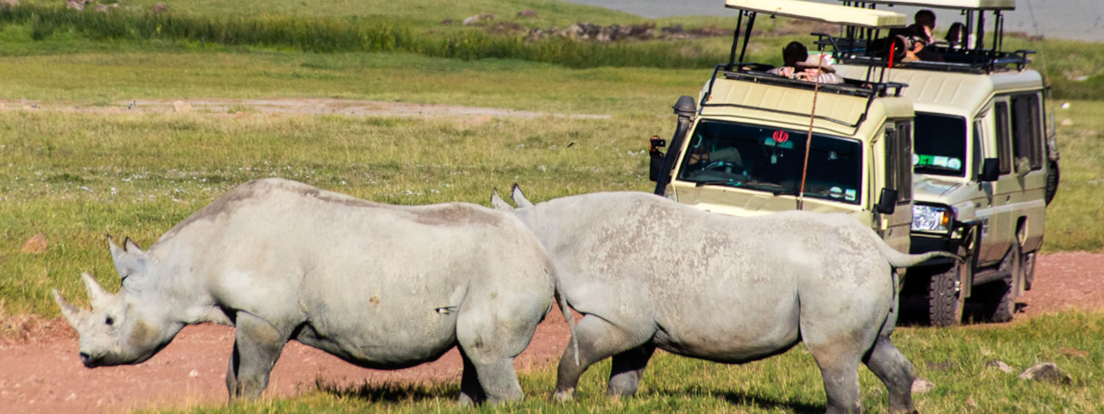 Day Tour in Ngorongoro Crater