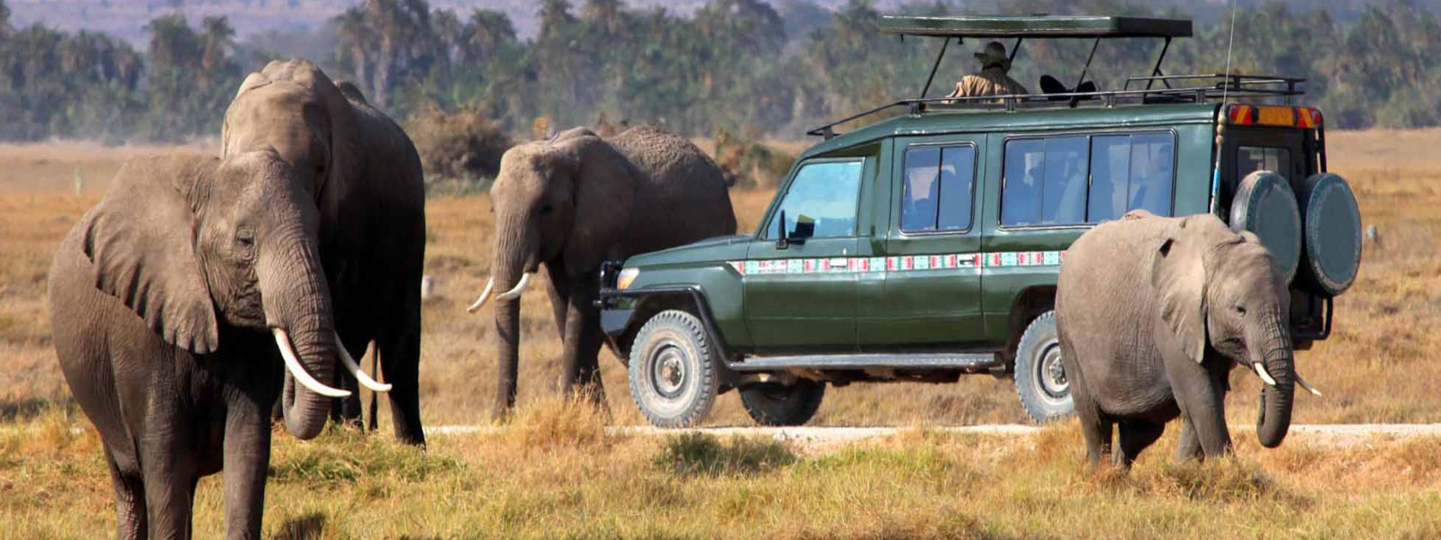 Tanzania Authentic Camping / Lodge Safari