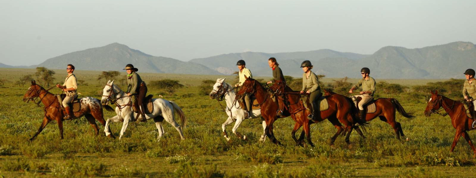 Horse Riding & Gorilla Trekking