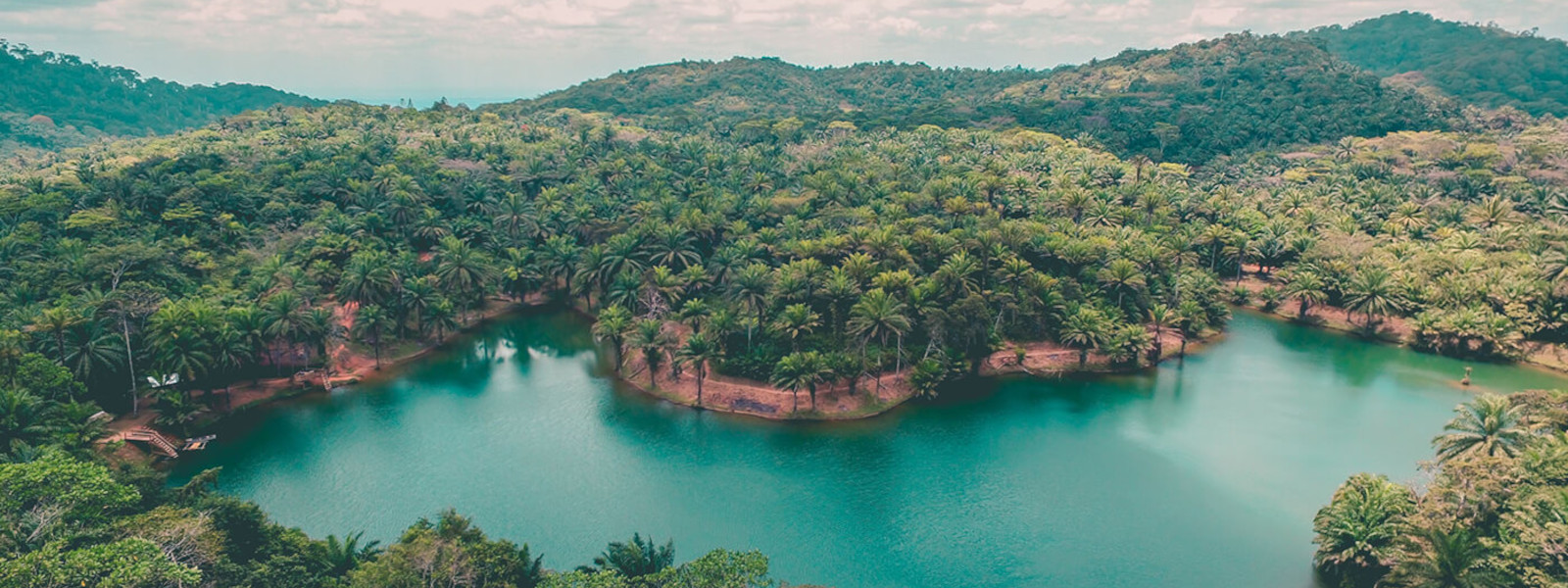 Usambara and Magoroto Forest