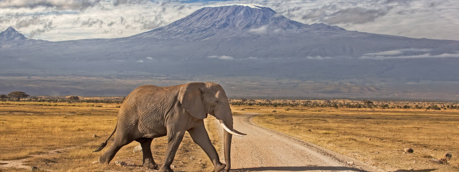 Day Tour in Mount Kilimanjaro National Park